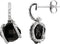 Accented Earrings