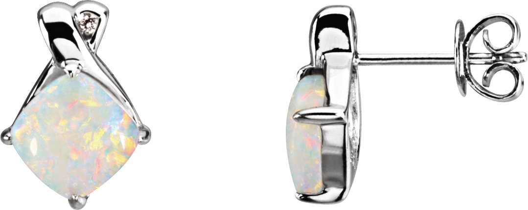 Accented Earrings