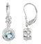 Accented Earrings