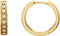 Accented Hoop Earrings